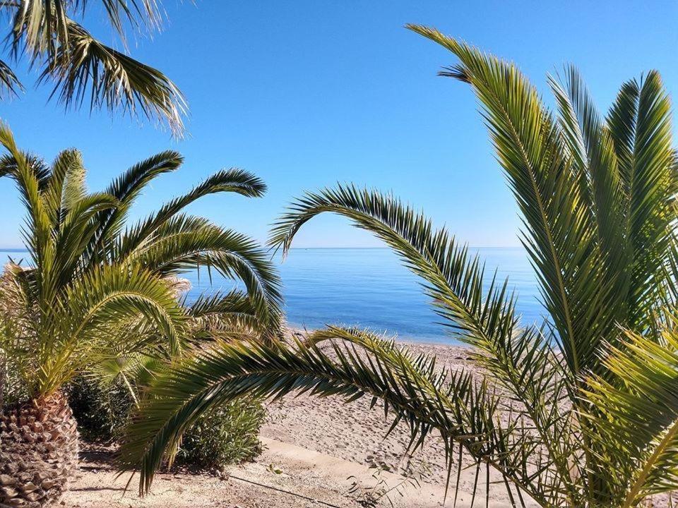 Ola Laguna Beach Vera Playa Экстерьер фото